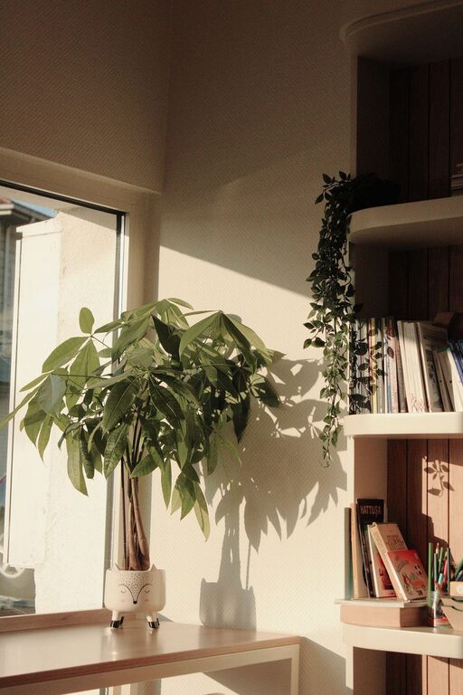 How to Create a Cosy Reading Nook in Your Home for Year-Round Enjoyment